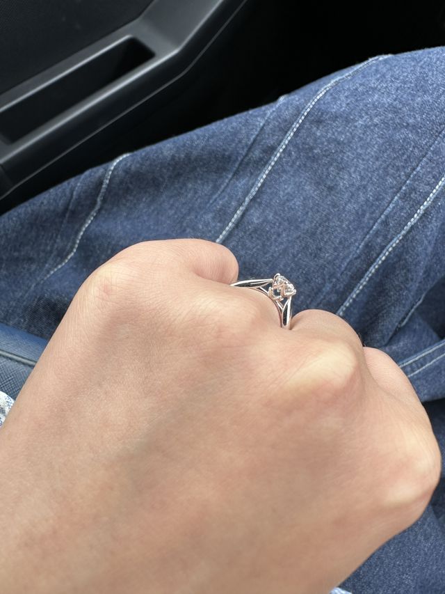 横から見てもそこまで爪が高くないので邪魔になりませんでした。