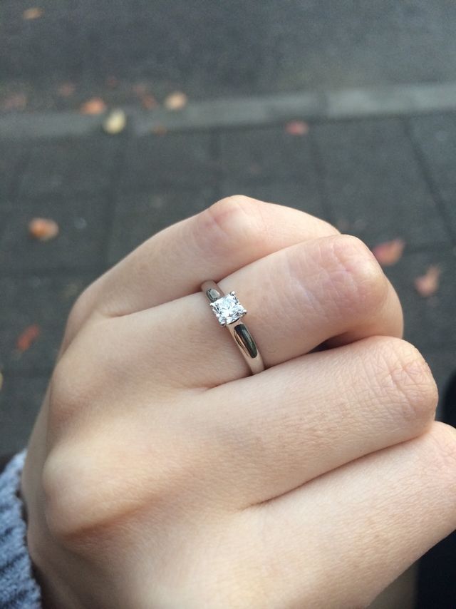 アップの写真です。