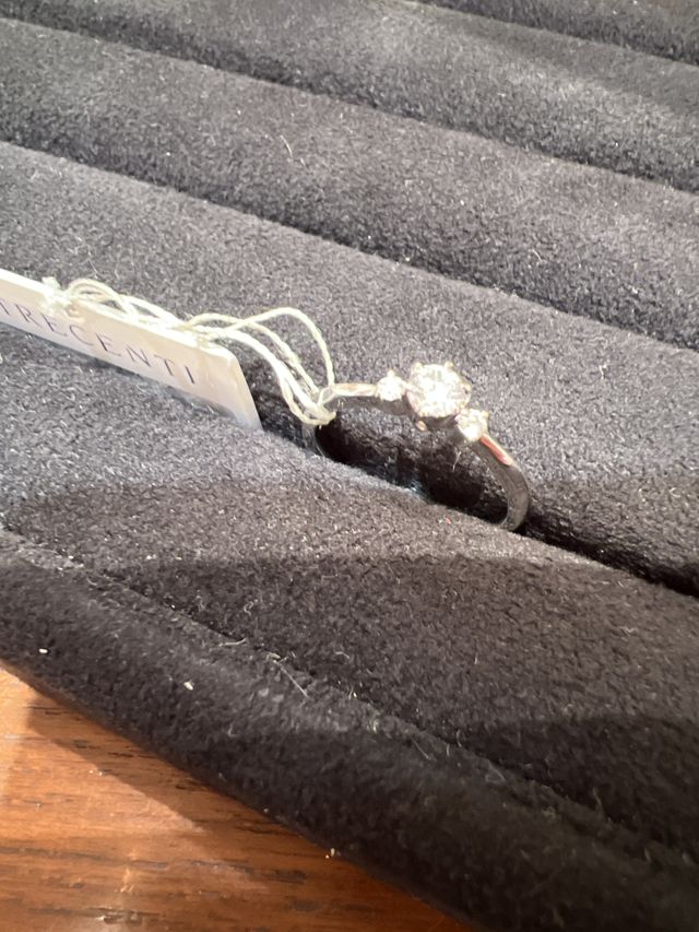 リングピローに入った状態です。