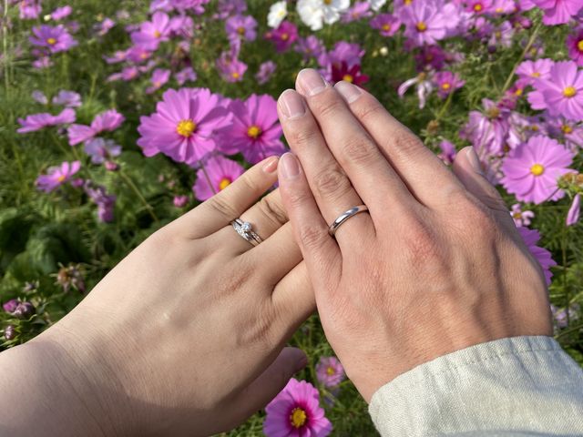 銀座ダイヤモンドシライシで購入した、アイグレイという指輪。