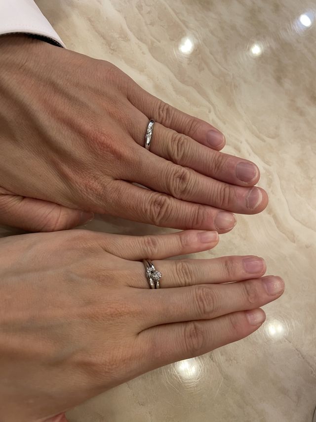 セットリングです