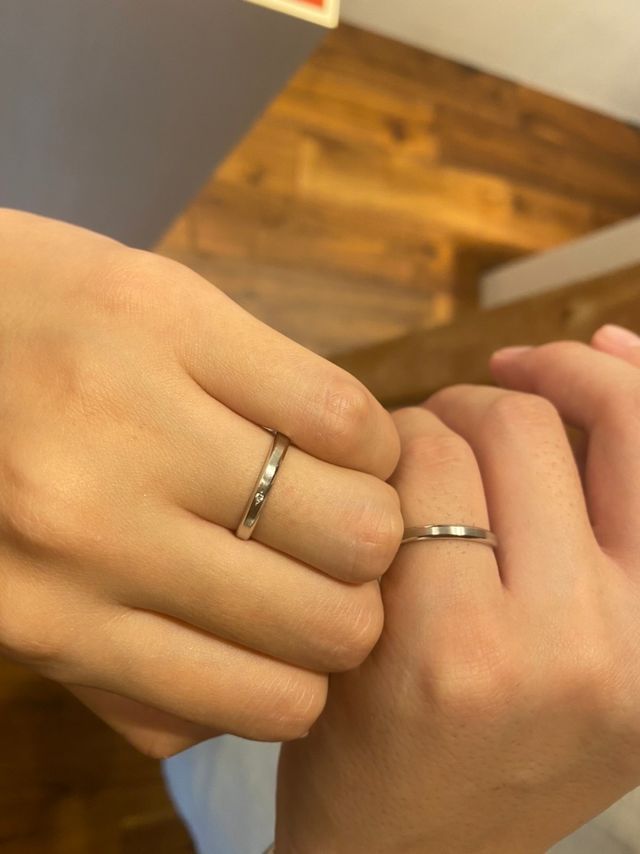 購入したものです。