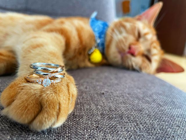 婚約指輪との3本！全てgala jewelryで揃えました。