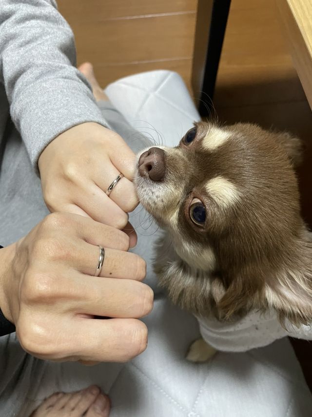 シンプルで凄くおしゃれに付けやすかったです。