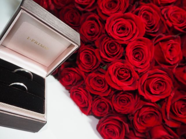 主人はハルモニア、私はブリジットを選びました。