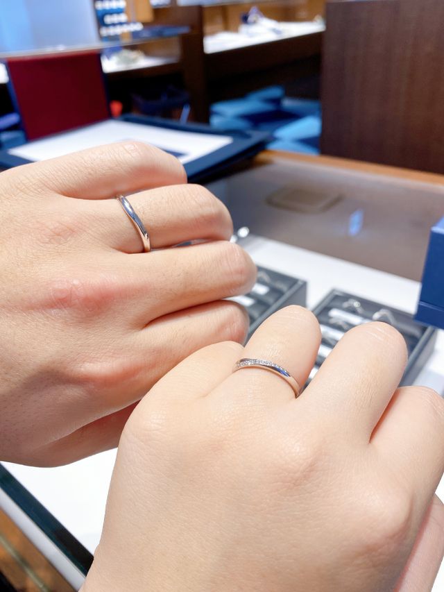 購入したものは「スターリー」です