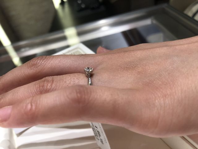 横から見た写真です。