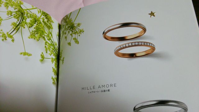 カタログの写真