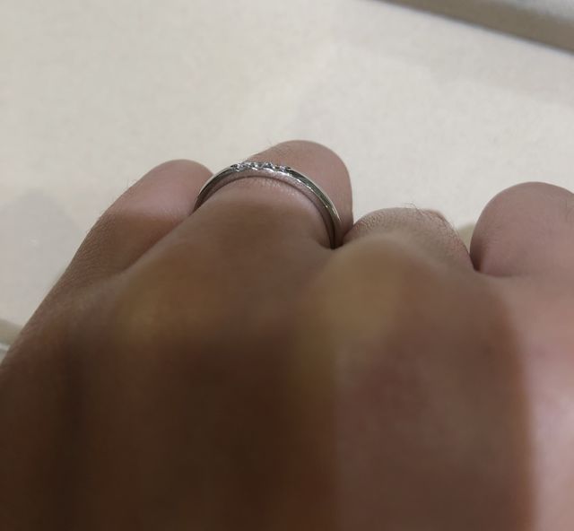 横から見た写真です。