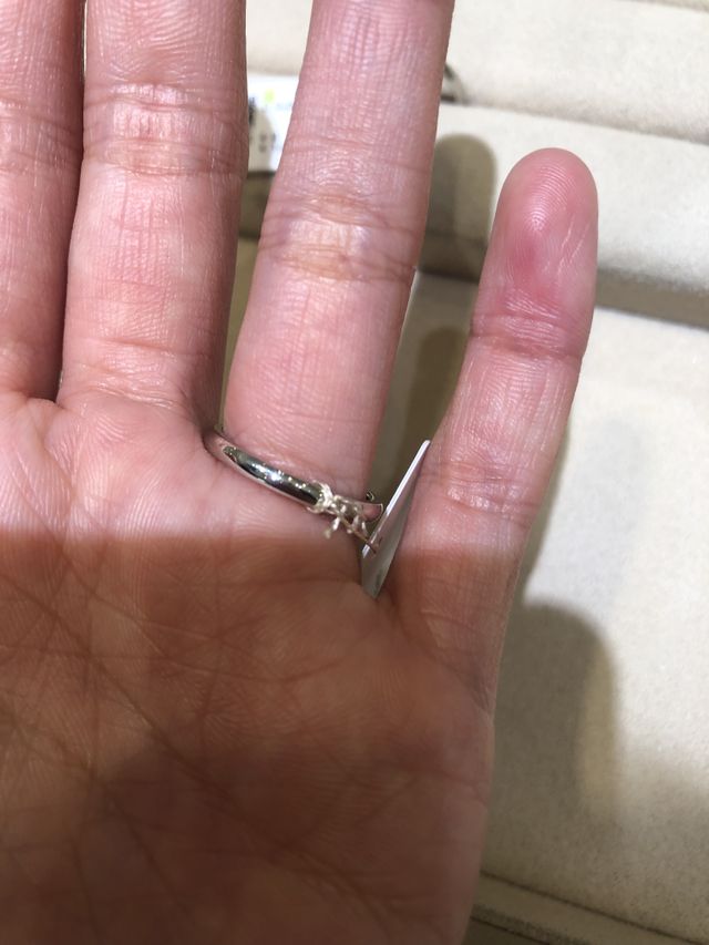 裏の写真です。