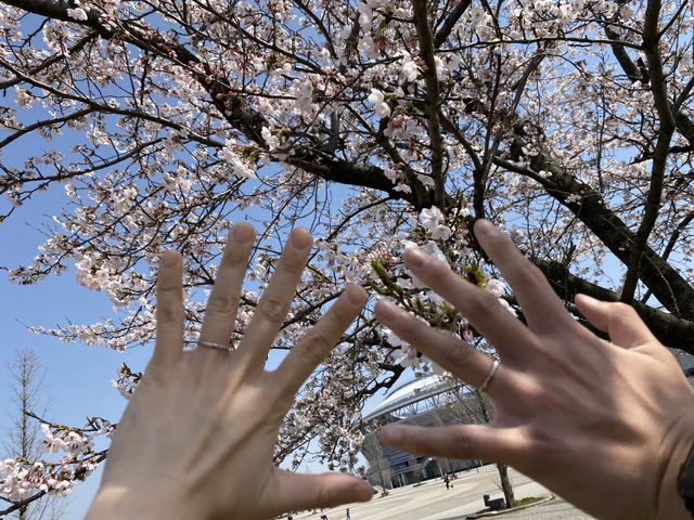 シンプルだけど可愛いデザイン