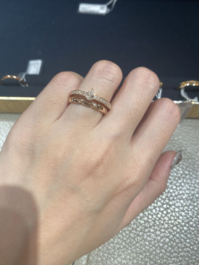 エクラデテルニテとトルサード1ダイヤPG（廃盤）