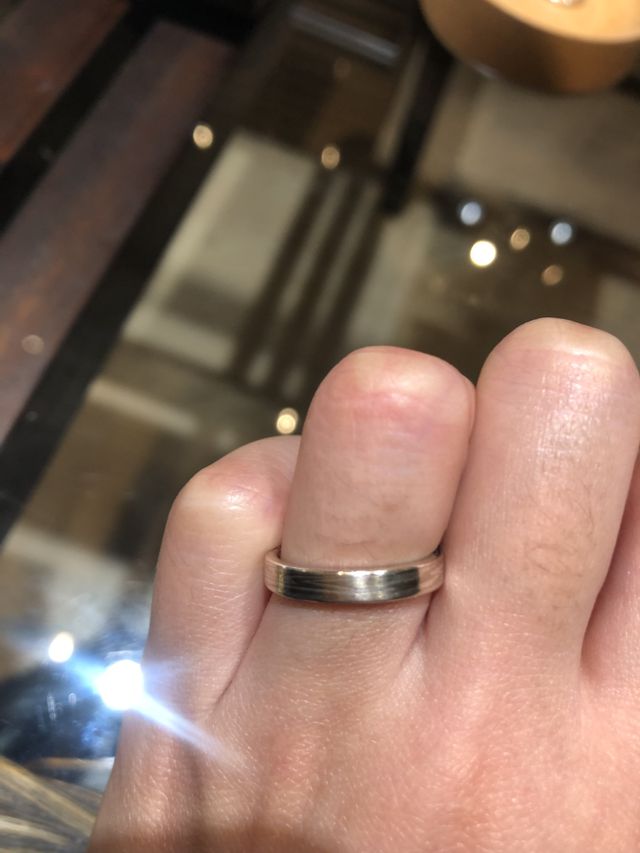 正面・近くから撮った写真です。