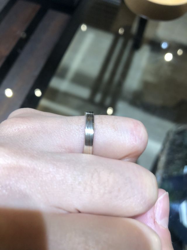 横から見た写真です。