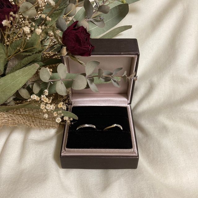 星逢&ノクターナル