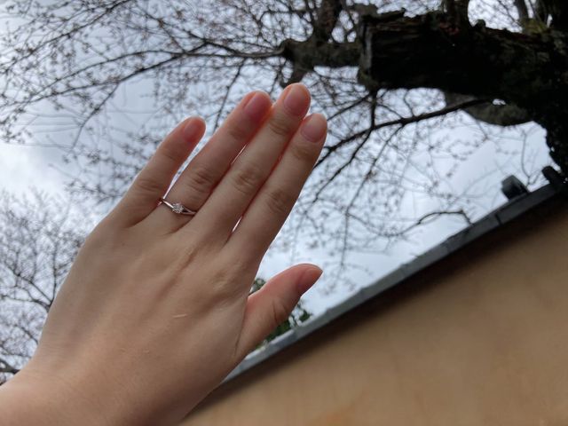 初桜と咲きはじめの桜です。