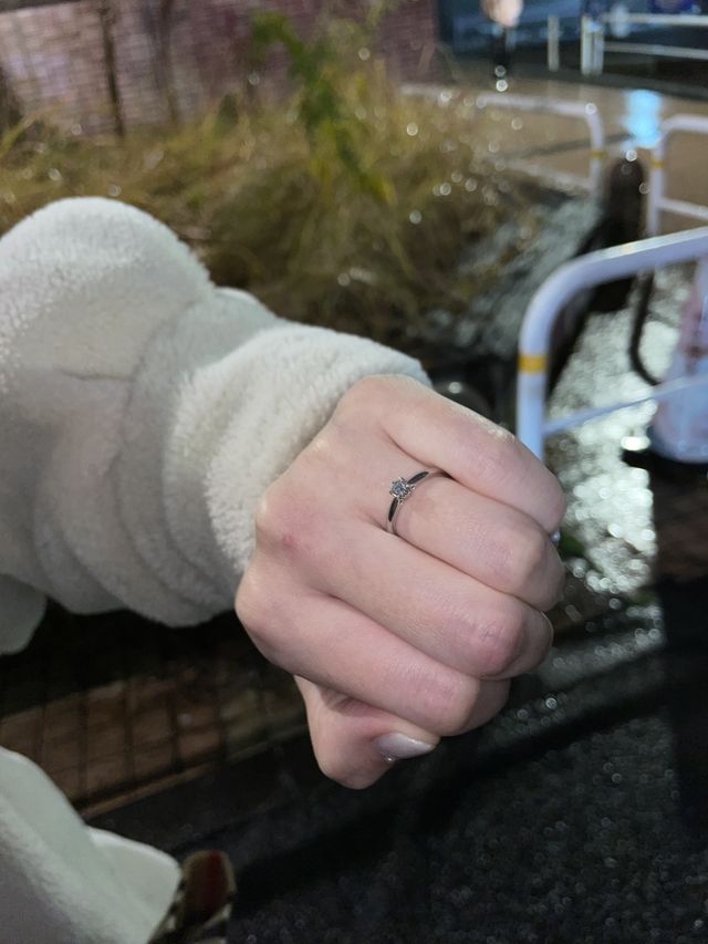 プロポーズした時の写真です