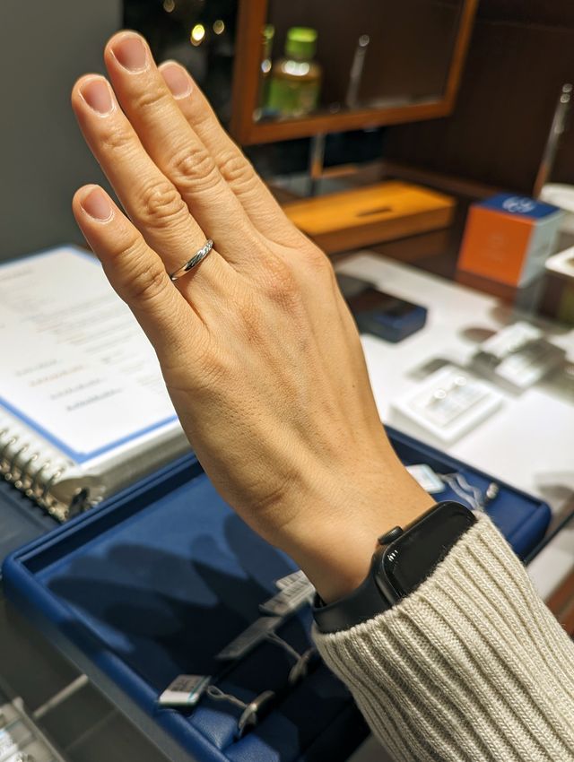 試着してみました