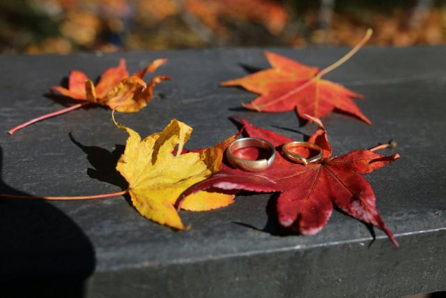 ２つ素材が一本のリングになった夫婦のような温かいデザイン