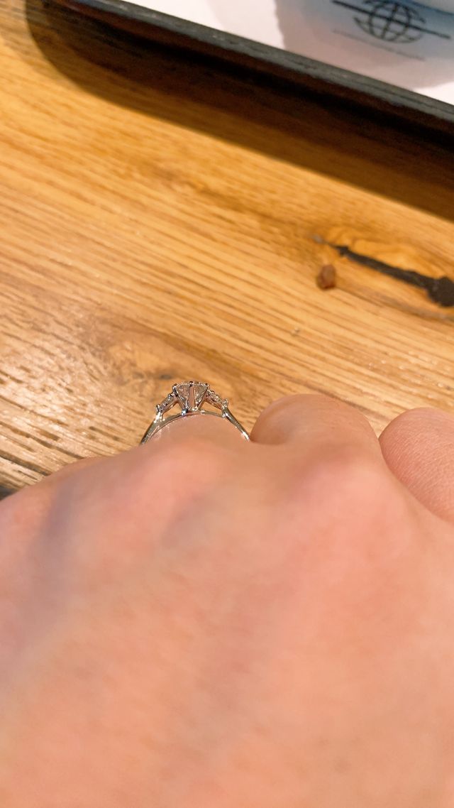 横からのアングルです。