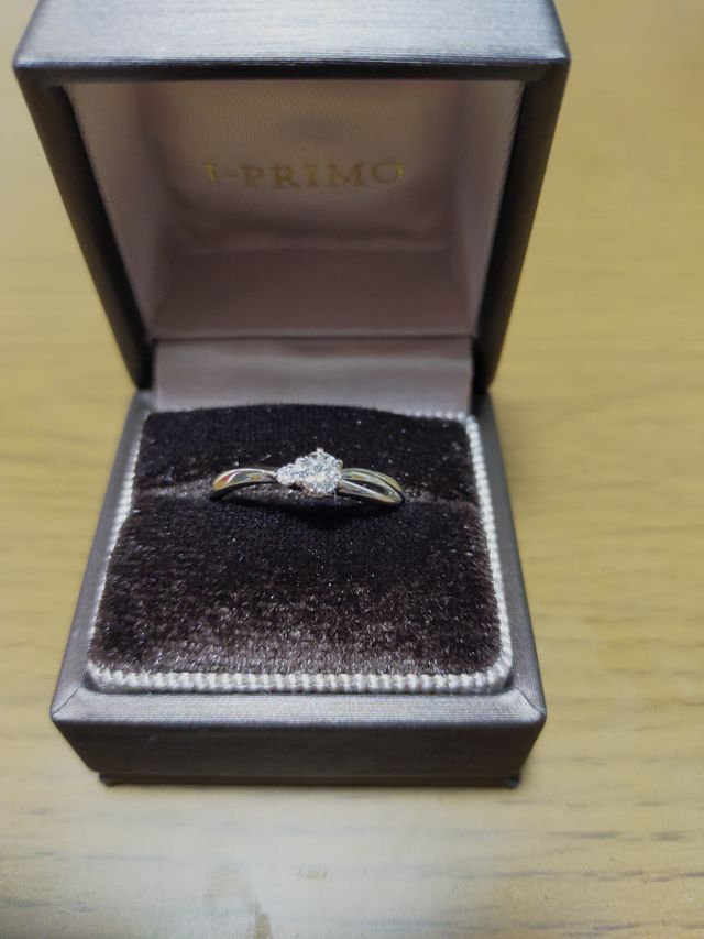 カンパニュラを購入しました。デザインが気に入っています。