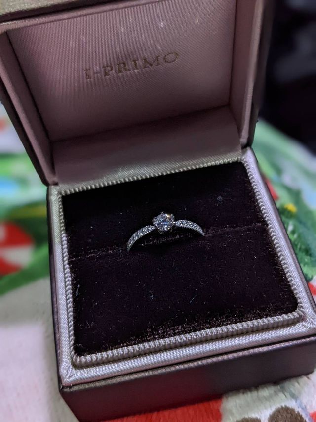 カリーナ とてもお気に入りです。