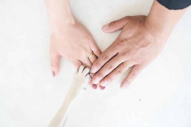 前撮りで愛犬と一緒にとった写真です♡