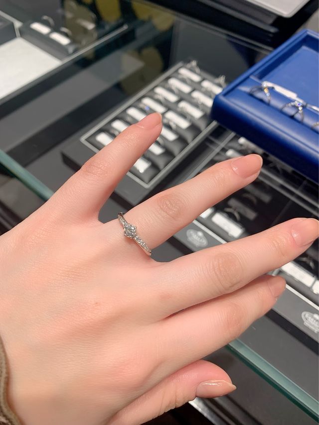 こちらはスターリーという形です。