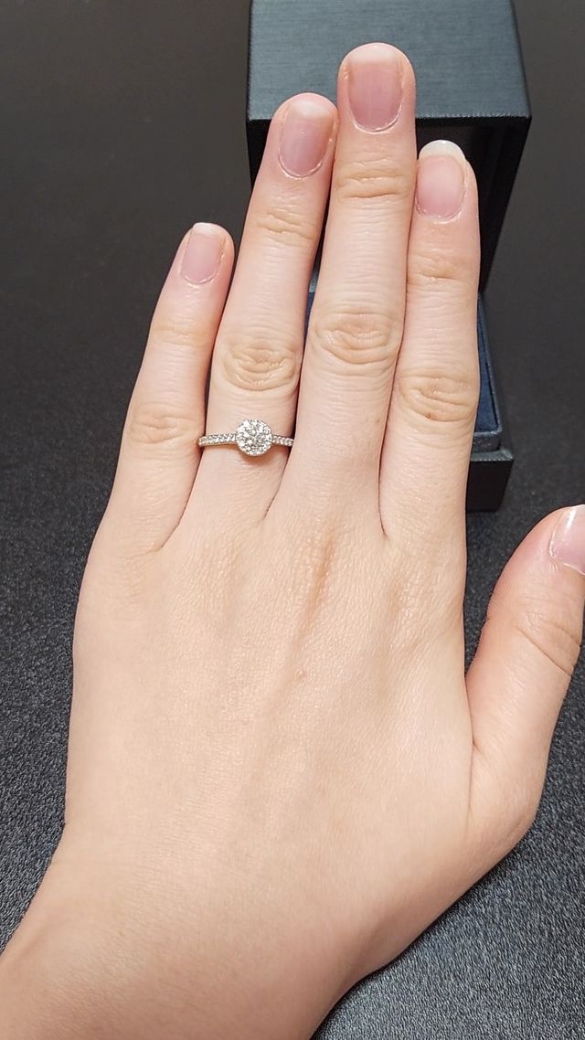 セントパトリック28(11号)です。