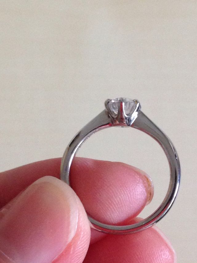 横から見たところ