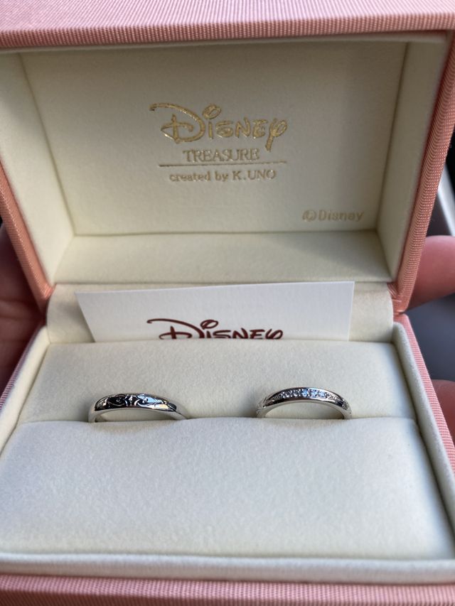 ディズニーを取り入れたデザイン
