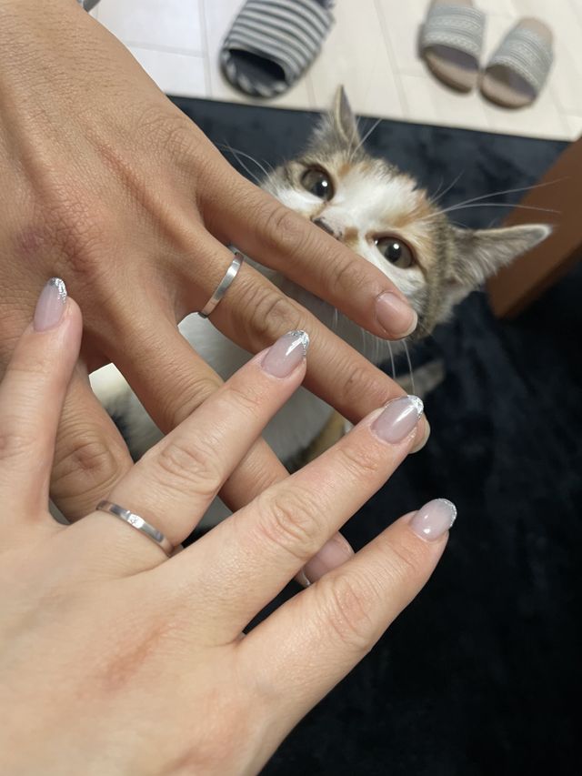 またまた愛猫と。