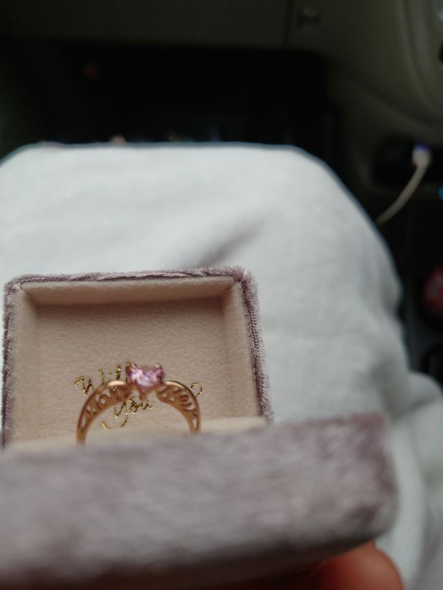 ケースに入った状態