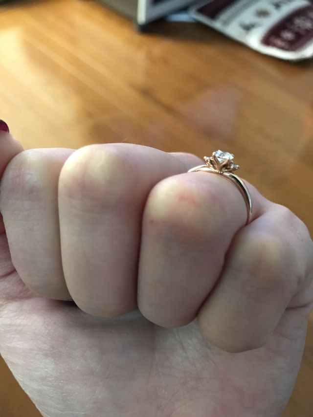 横からみた図です。