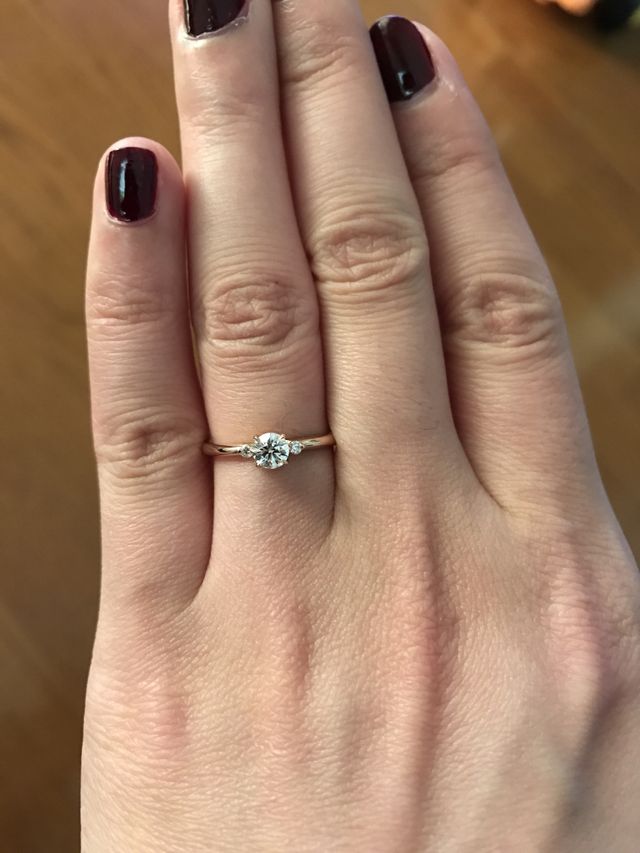 正面からみた図です。