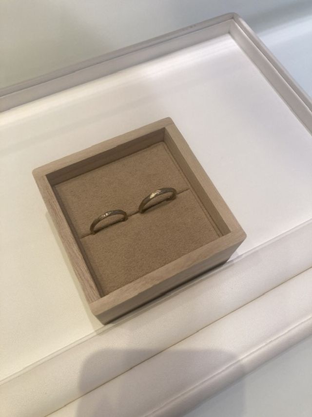 マンゴーツリー（ﾎﾜｲﾄｺﾞｰﾙﾄﾞ）カレント（同上）