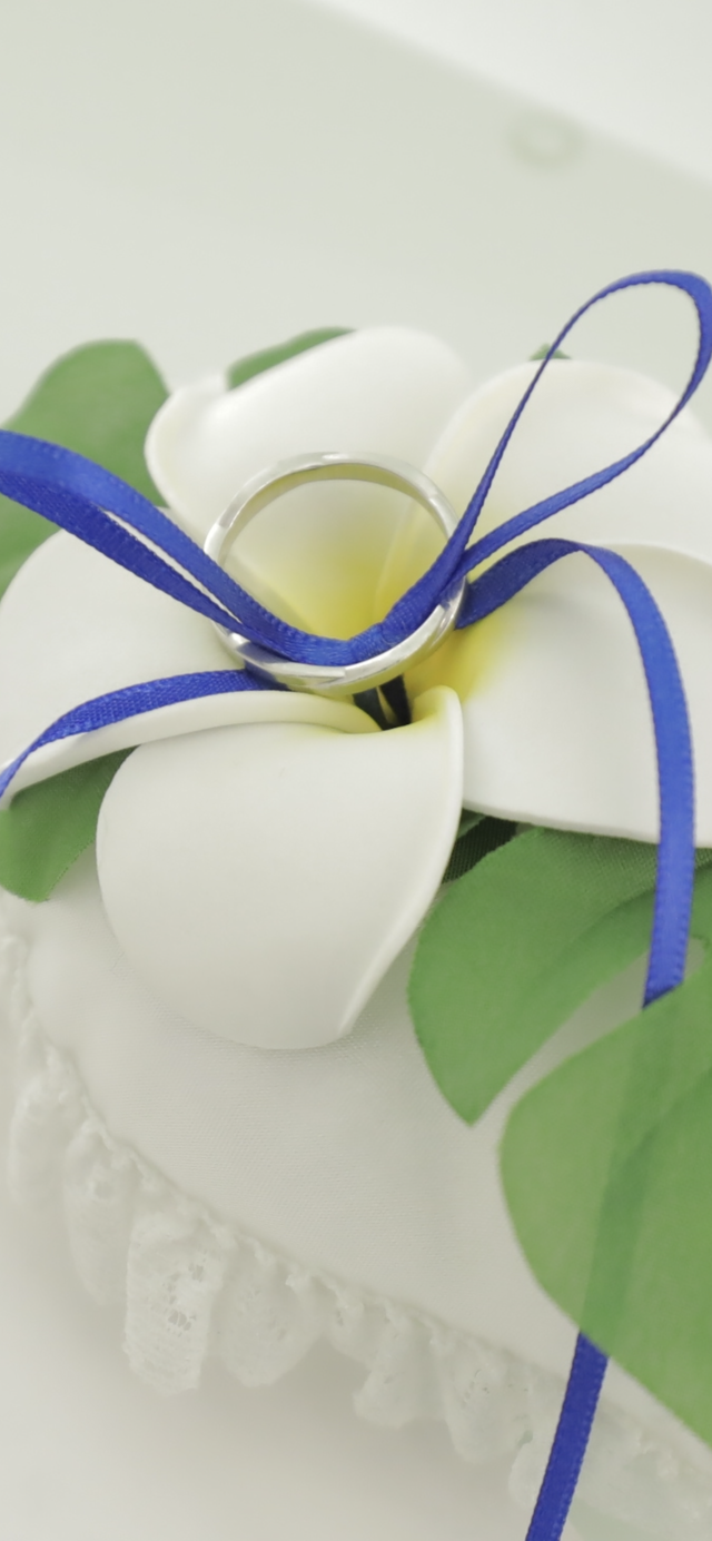 結婚式時にカメラマンの方が撮ってくださった写真です