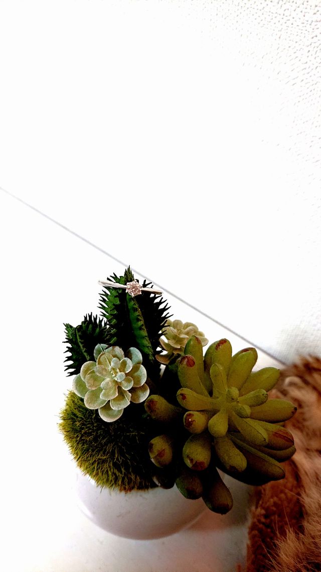 シンプルだけど上品なデザインで、納得の仕上がりでした。
