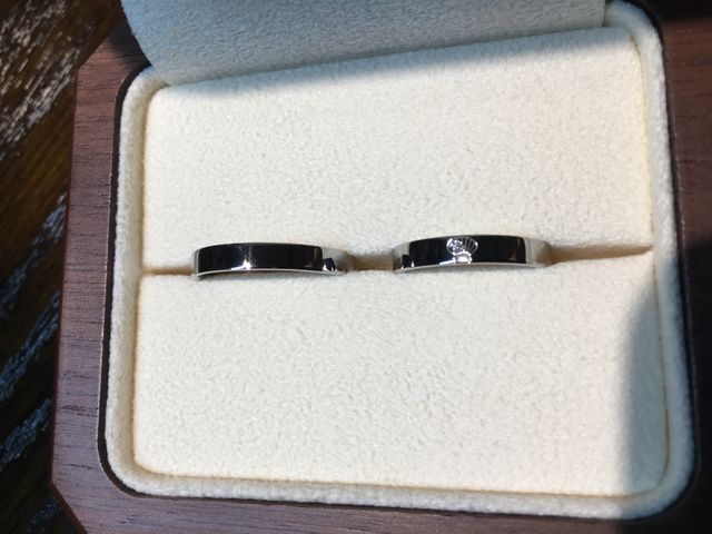 どこを探してもなかった貝のワンポイント！