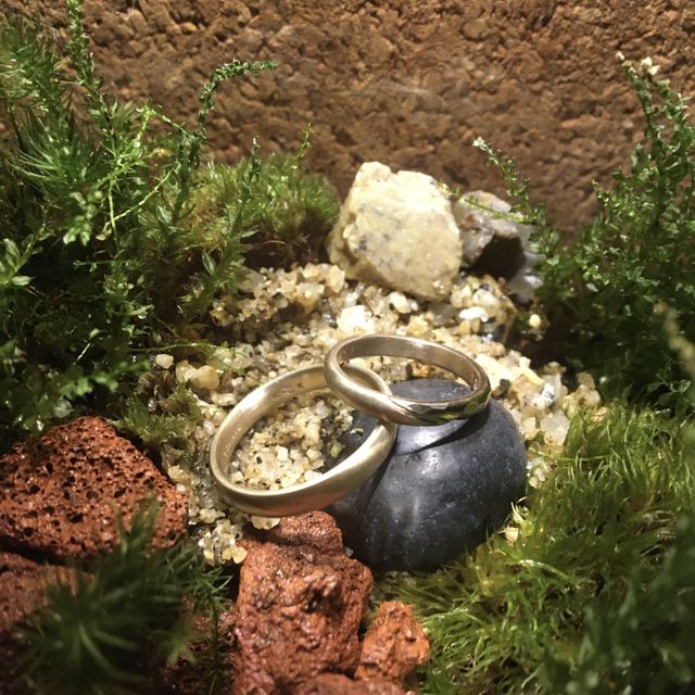 シャンパンゴールドですが光があたるとプラチナのようにキラキラ