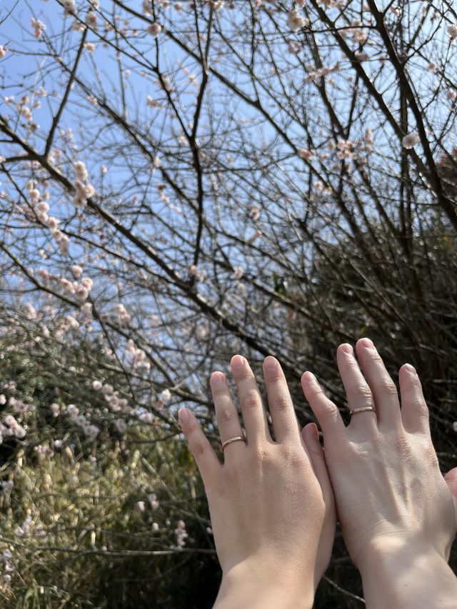 シンプルなデザインが気に入りました。