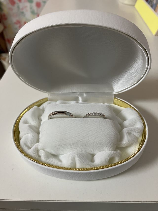 購入した時についていたケースです。