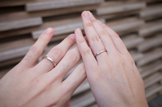 購入した日に撮影したもの