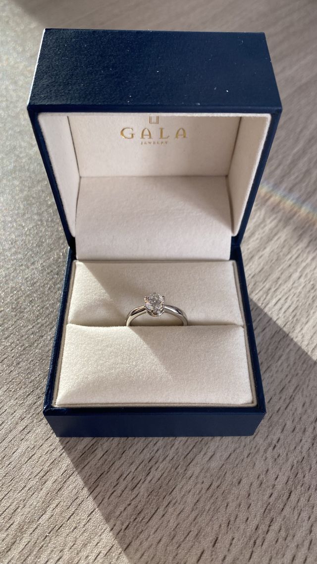 夕暮れ時に室内で撮りました。ご参考までに&hellip;