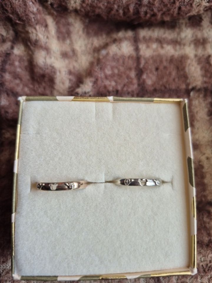 【THE KISS(ザ・キッス)の口コミ】 シルバーとピンクゴールドのペアです。コラボをよくしておりデザインもな…