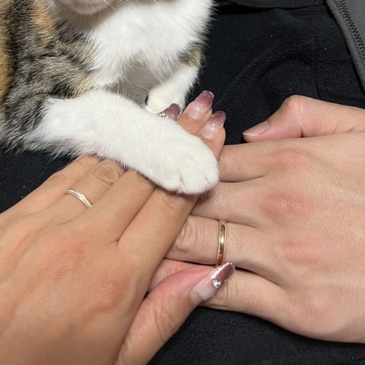 【PILOT BRIDAL(パイロットブライダル)の口コミ】 ピンクゴールドの指輪を探していた中で、デザインやテイストに主人と一目…