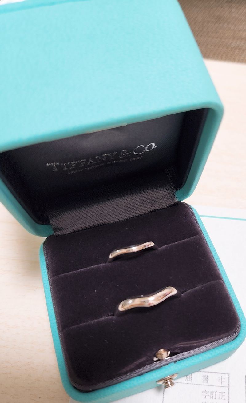 ホームページを閲覧する段階では、エルサ・ペレッティのカーブド