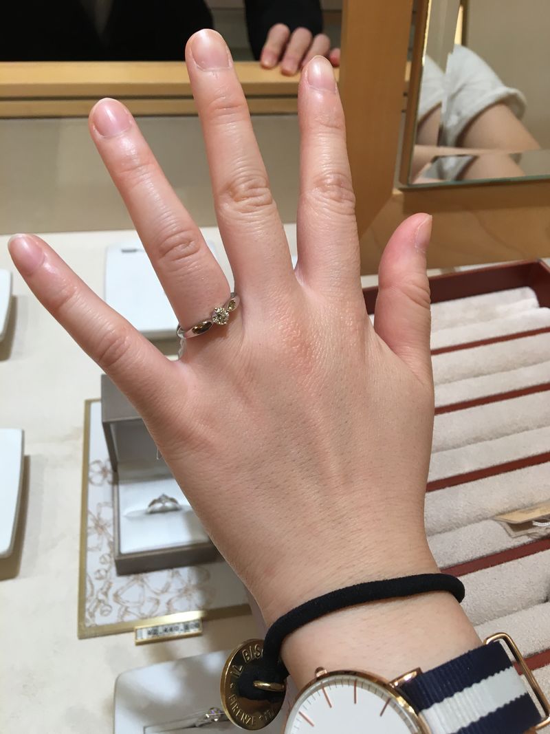 トルチェッロ型のデザインを探し、大手ブランド含む複数比較しましたが