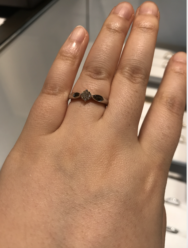 水の都ヴェネチアの名を冠した「デディカータ・ア・ヴェネチア