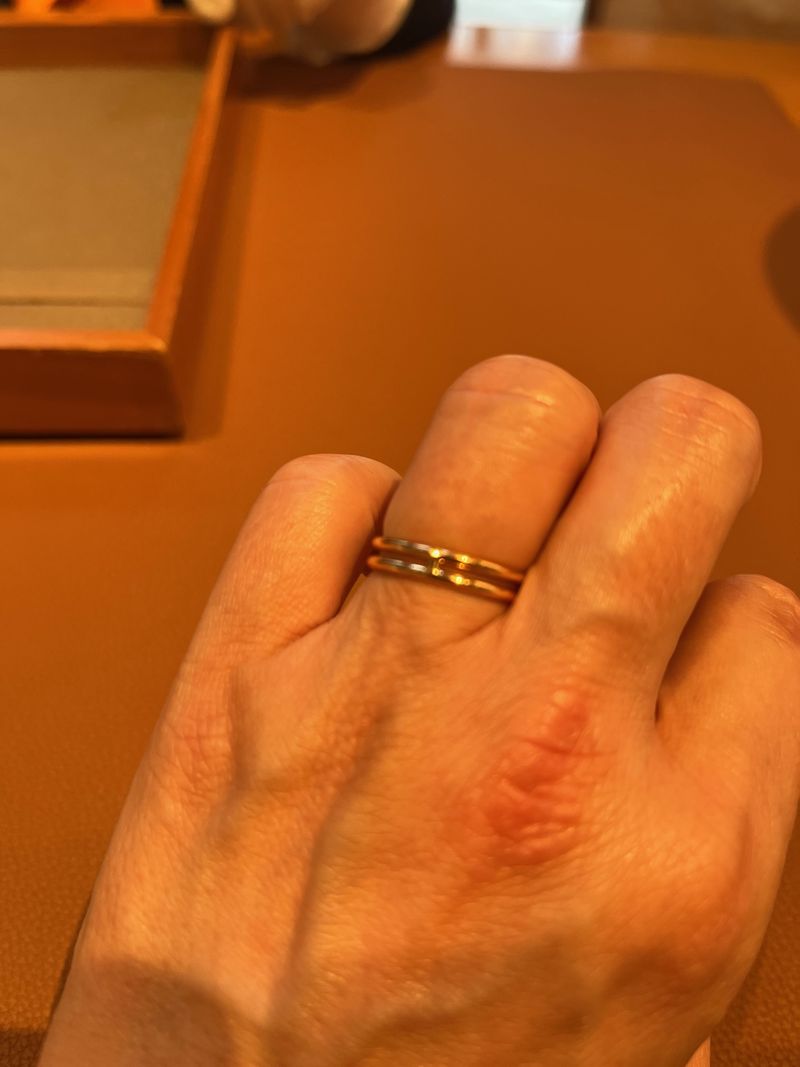 アリアンヌは2連になっているように見える個性的なデザインで